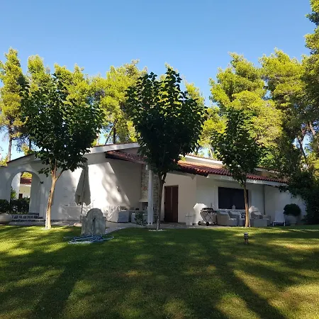 Sani Christy * Сани-Бич